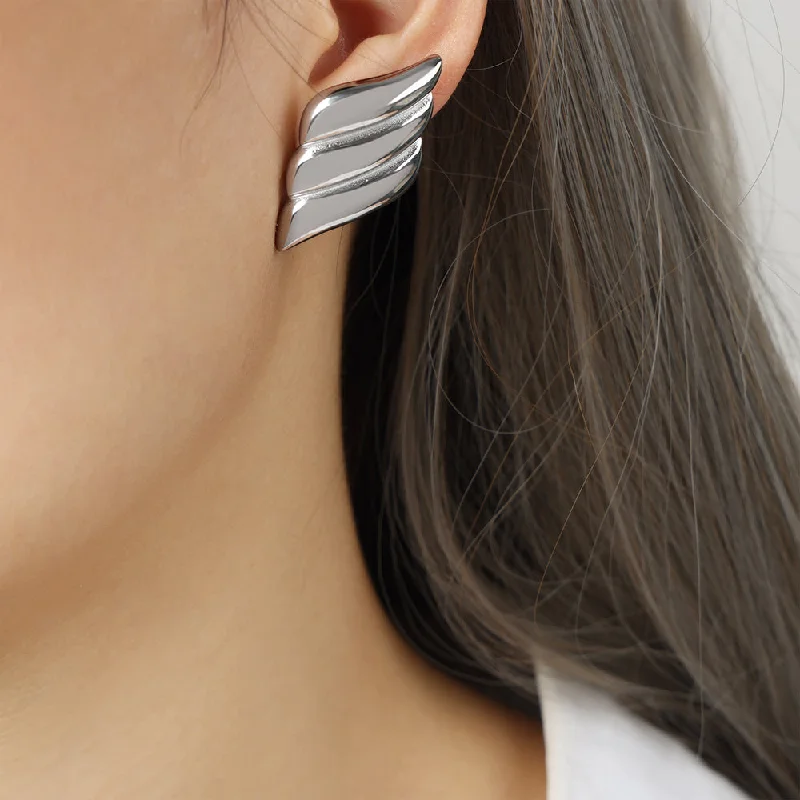 F1070-Steel Earrings